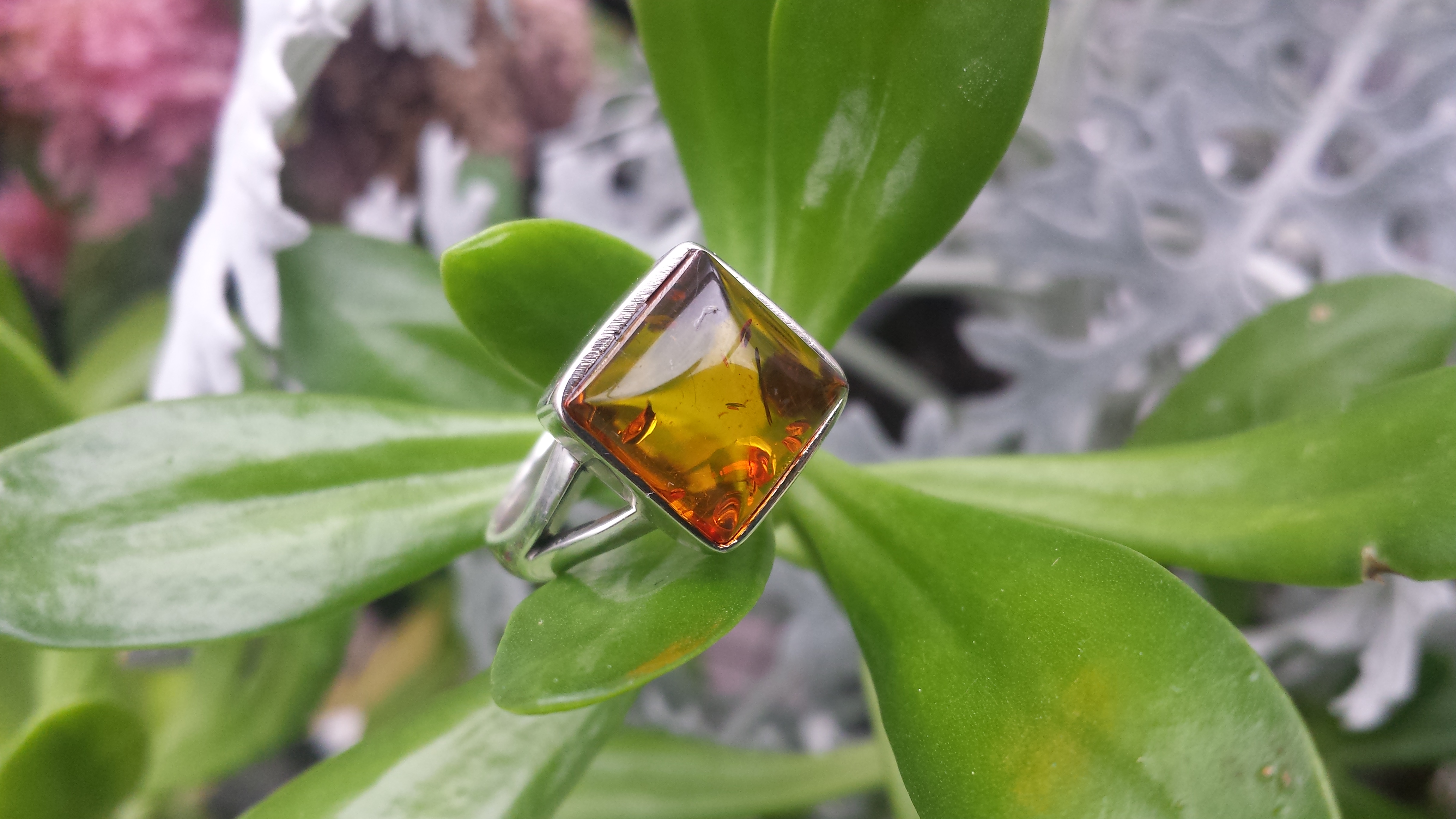 REAL BALTIC AMBER RING WITH 925 STERLING SILVER Size7 5.4 G